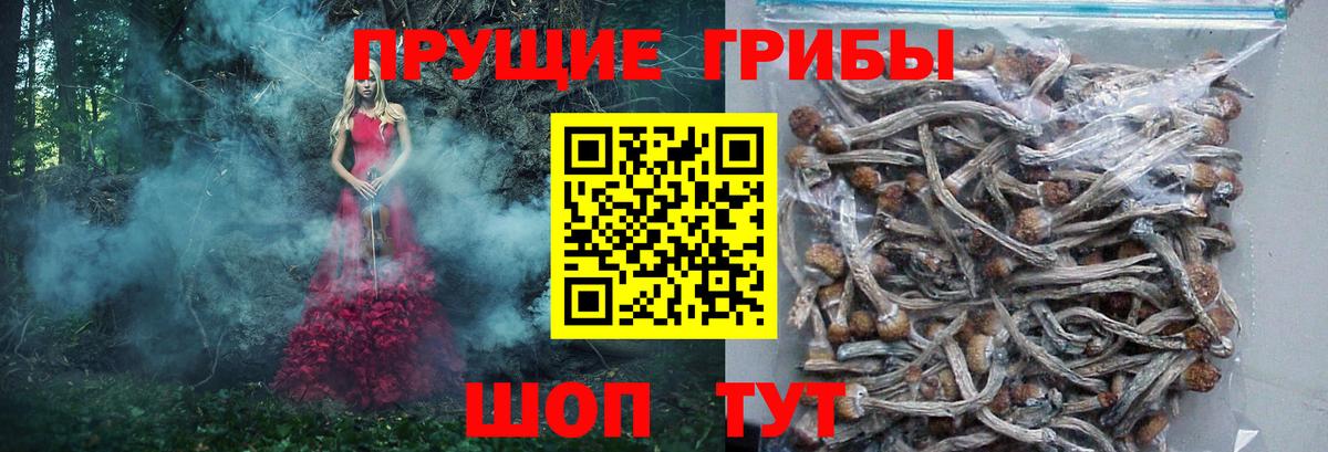 Сегежа  Псилоцибиновые грибы GOLDEN TEACHER  Псилоцибиновые грибы мухоморы  Вход с VPN 