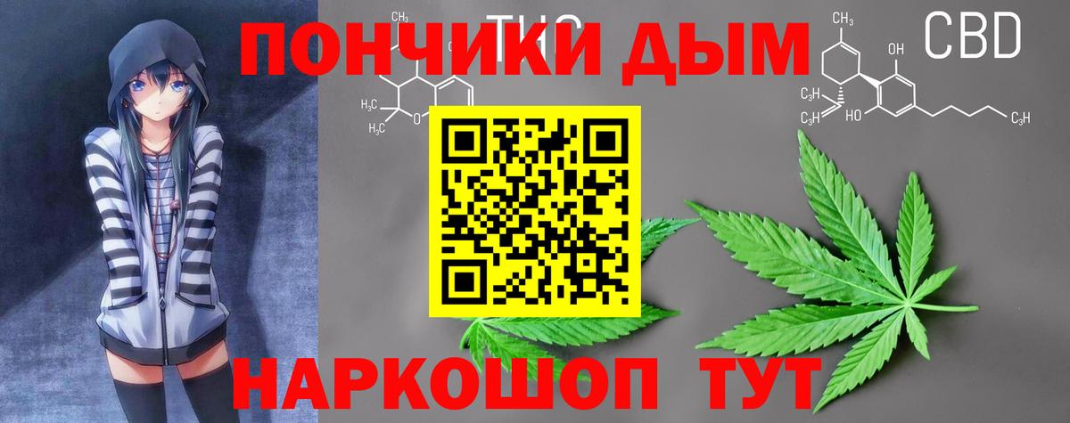 Конопля гибрид Сегежа